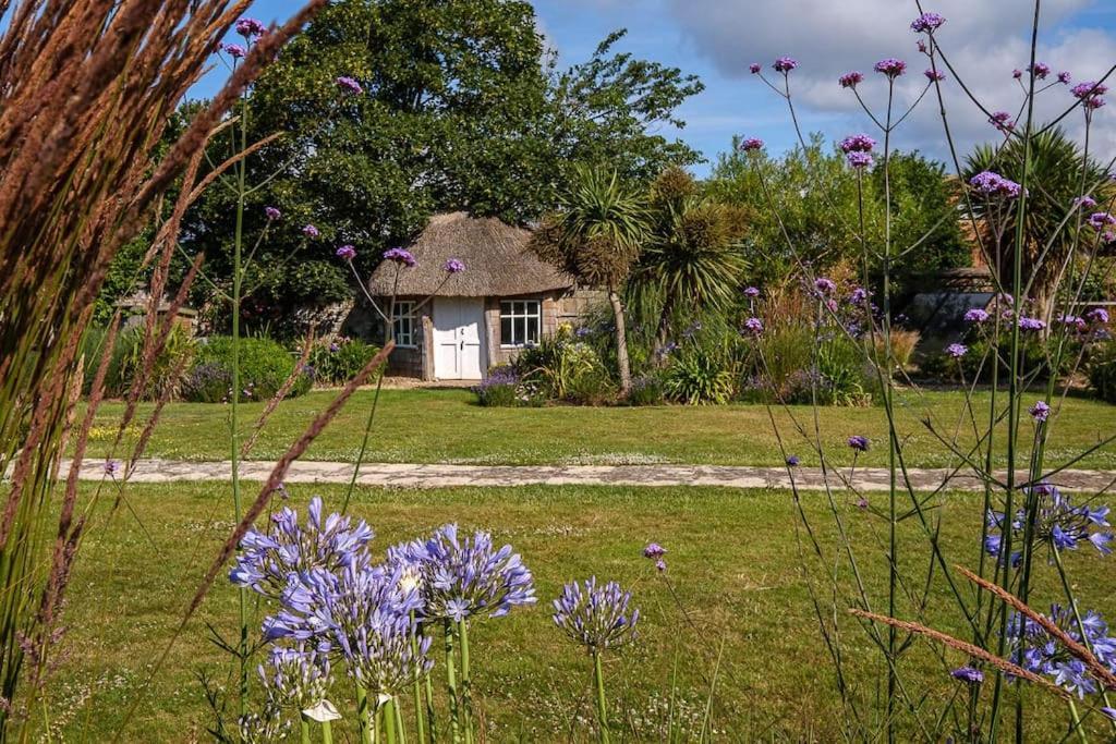 The Beach House-Devon- On The Beach- Sleeps 20 Villa Exmouth Eksteriør bilde