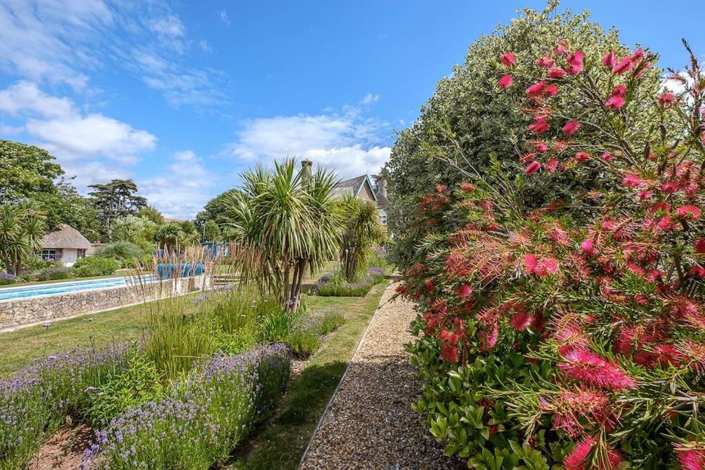 The Beach House-Devon- On The Beach- Sleeps 20 Villa Exmouth Eksteriør bilde