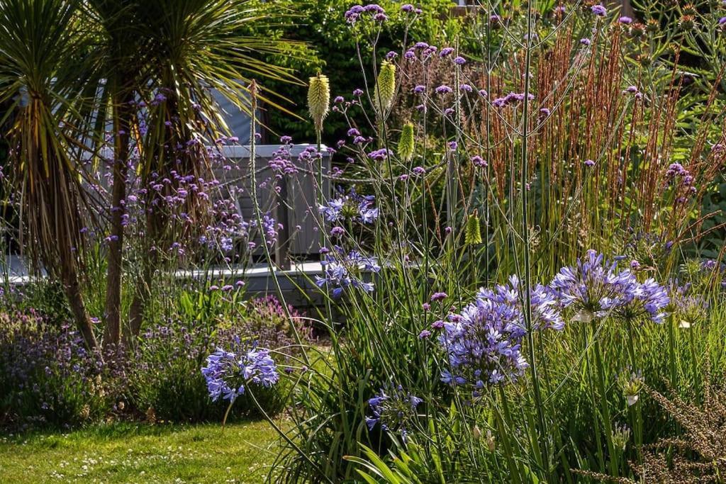 The Beach House-Devon- On The Beach- Sleeps 20 Villa Exmouth Eksteriør bilde